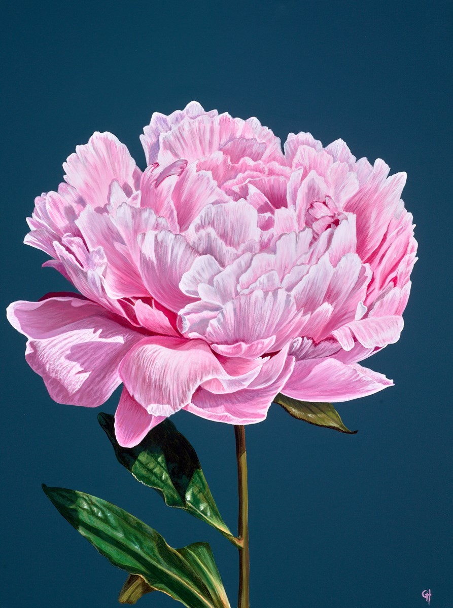 Peony image